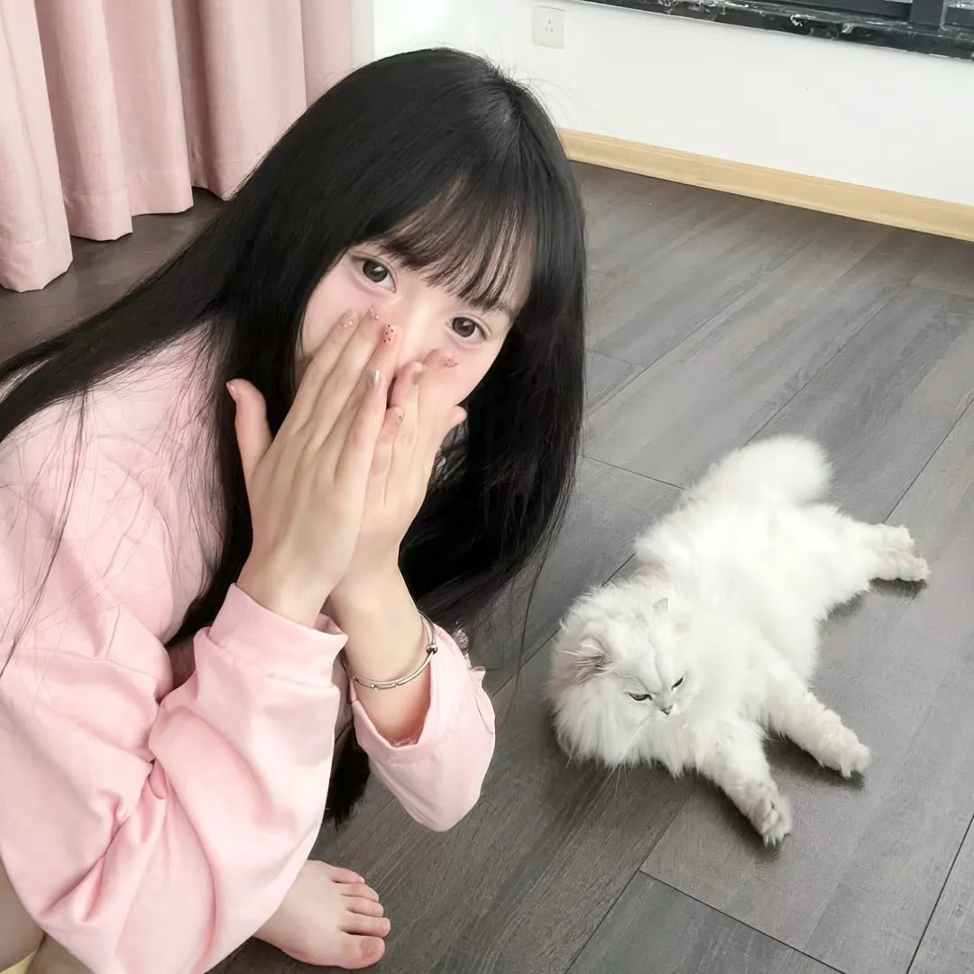 我把忠诚献给你